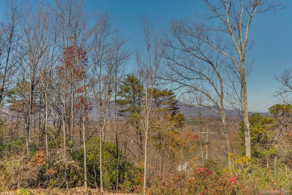 202 Ridgetop Road Landrum, SC 29356 - Photo 23 of 24 Gallery Image 23
