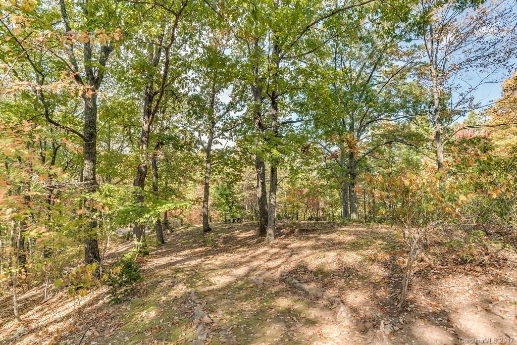 202 Ridgetop Road Landrum, SC 29356 - Photo 24 of 24 Gallery Image 24