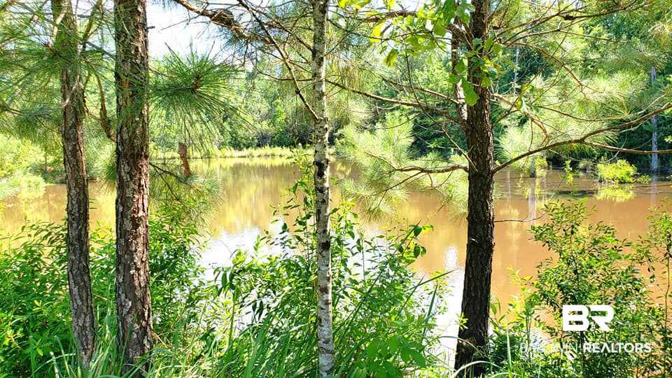 0 Bayou Road Bay Minette, AL 36507 - Photo 3 of 3