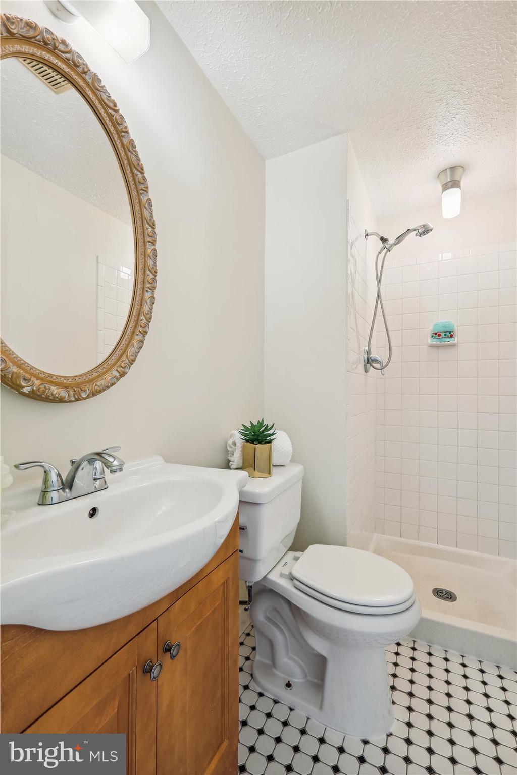 19908 Apple Ridge Place Gaithersburg, MD 20886 - Photo 16 of 70 Primary Bath
