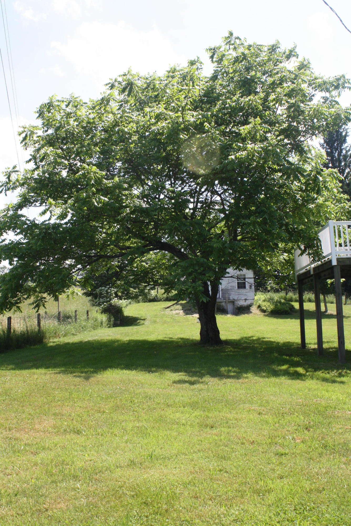 3296 Simms Mountain Road Rainelle, WV 25962 - Photo 10 of 119 Gallery Image 10