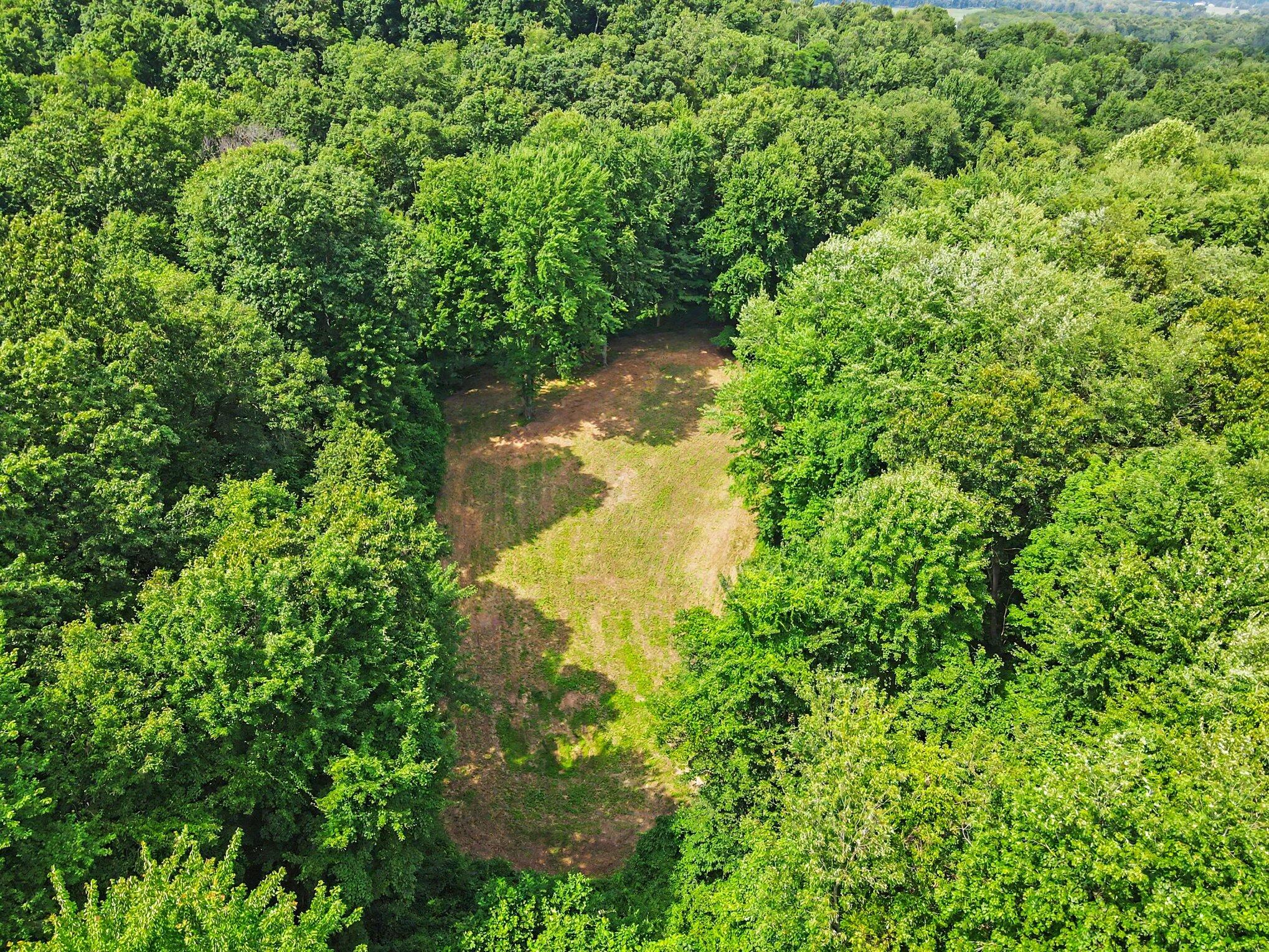 15068 Millard Road Three Rivers, MI 49093 - Photo 31 of 43 031_file_4921