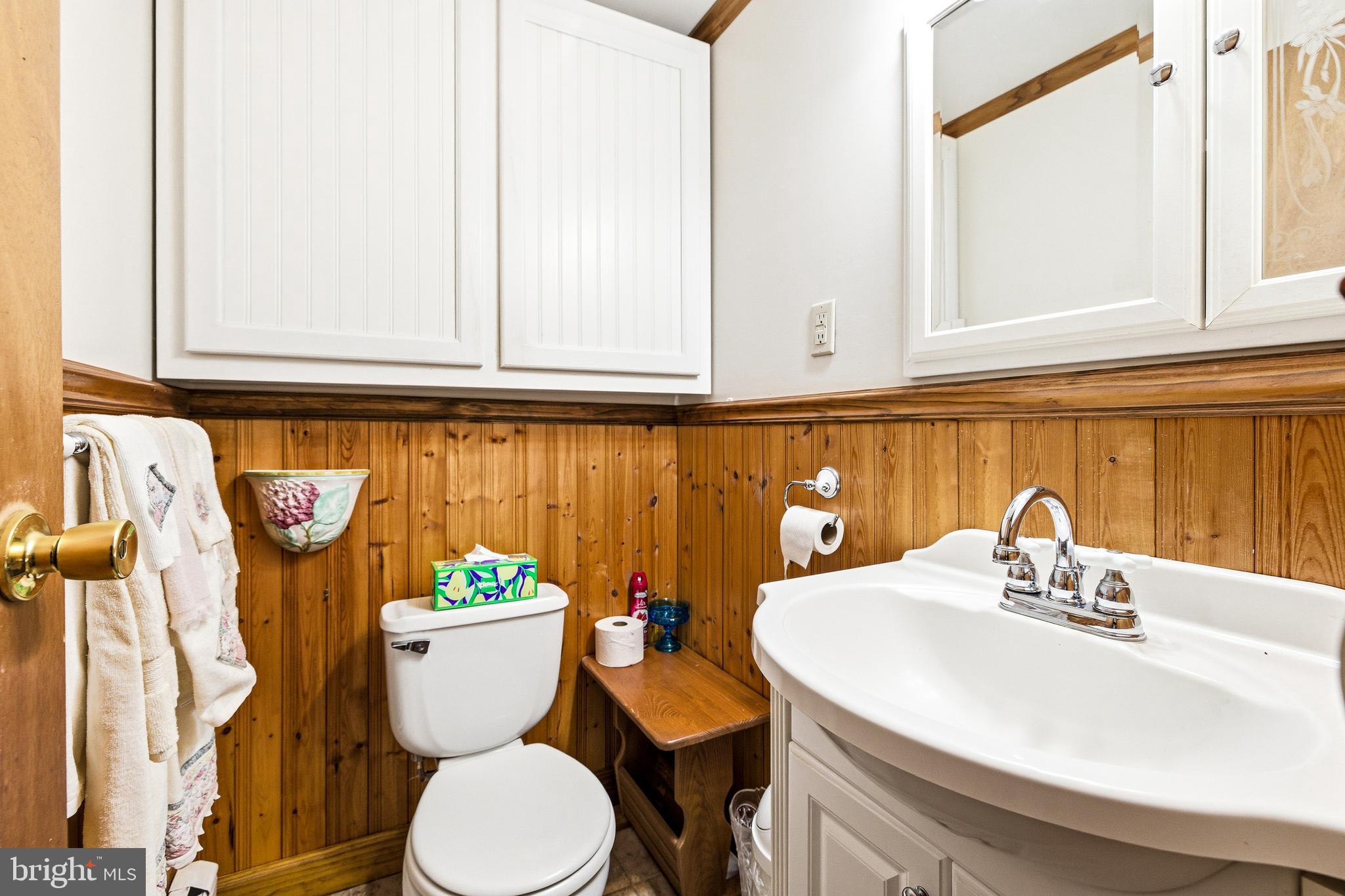 5009 Mill Creek Road Luray, VA 22835 - Photo 23 of 87 a bathroom with a sink a toilet and a mirror