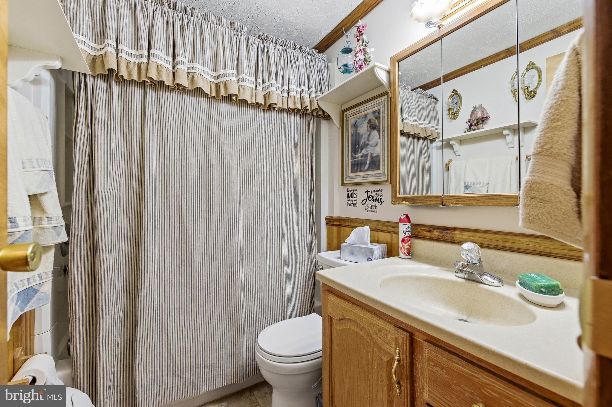 5009 Mill Creek Road Luray, VA 22835 - Photo 26 of 87 a bathroom with a sink a toilet and a mirror