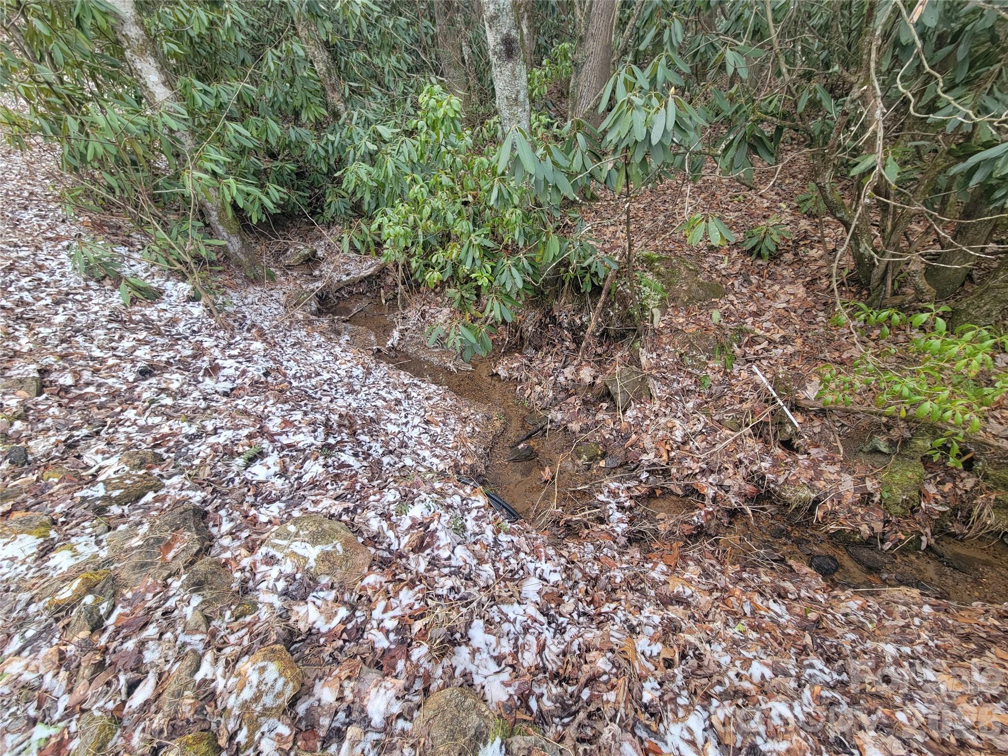 859 Big Cove Road Waynesville, NC 28786 - Photo 4 of 30