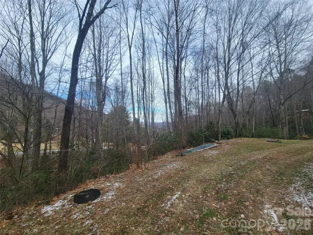 a backyard of a house with lots of green space