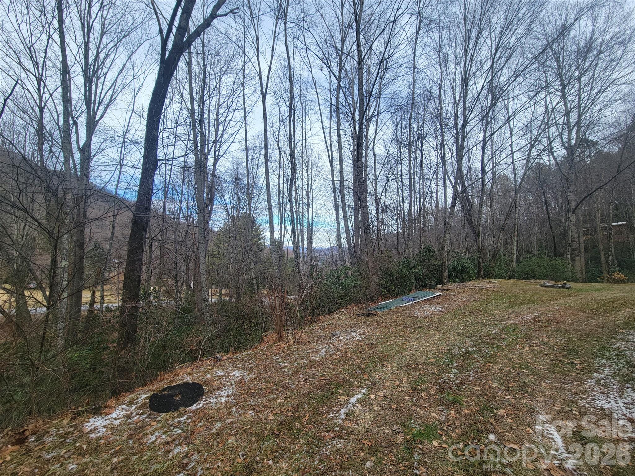 859 Big Cove Road Waynesville, NC 28786 - Photo 6 of 30