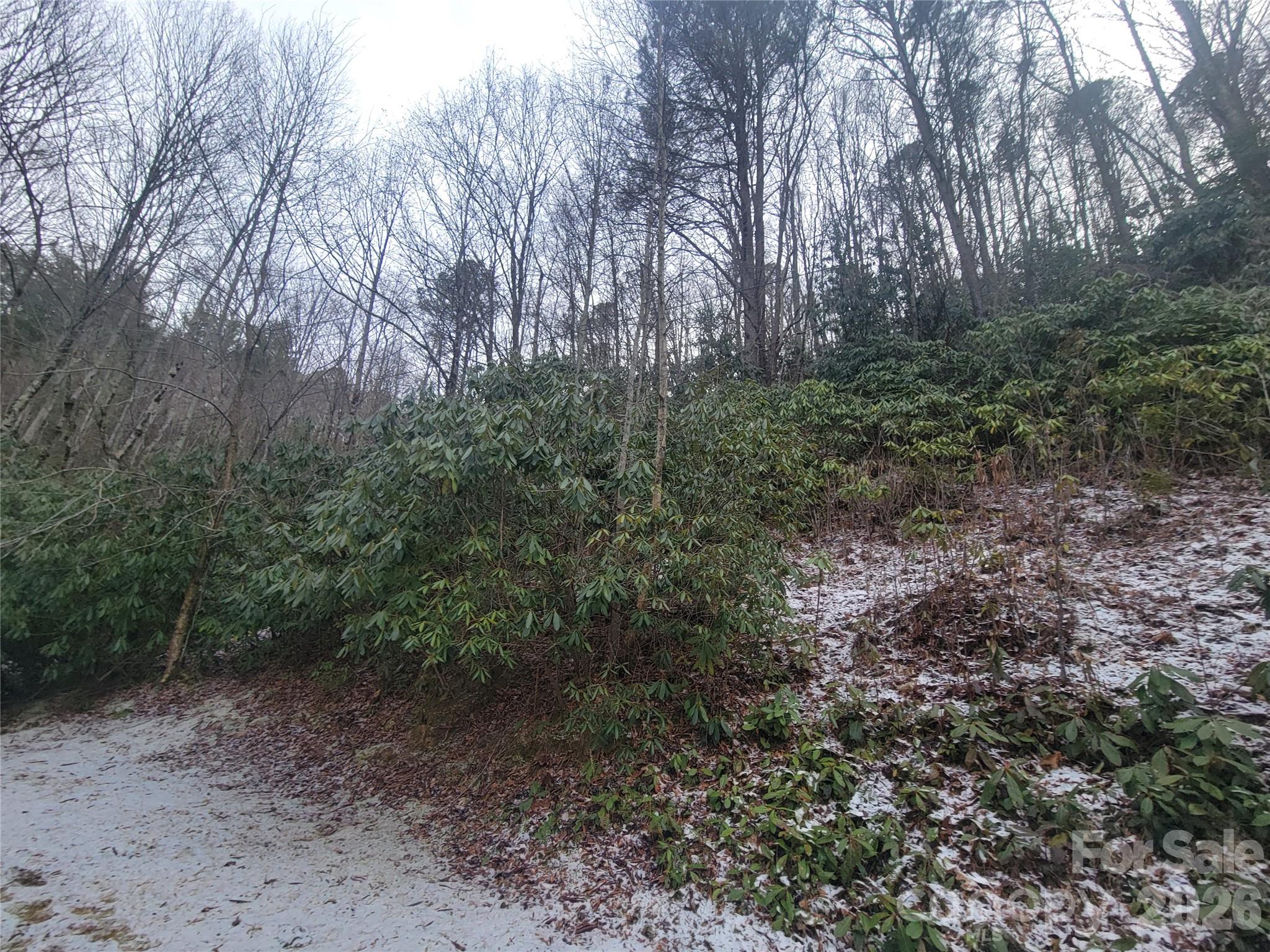 859 Big Cove Road Waynesville, NC 28786 - Photo 10 of 30