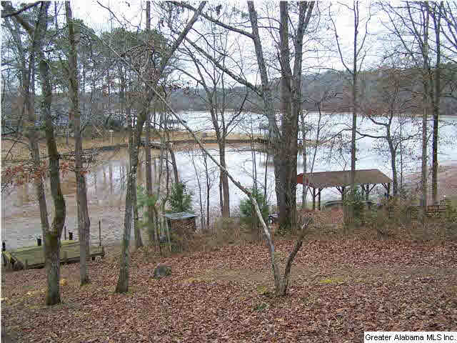 193 Coosa View Lane Riverside, AL 35135 - Photo 9 of 23