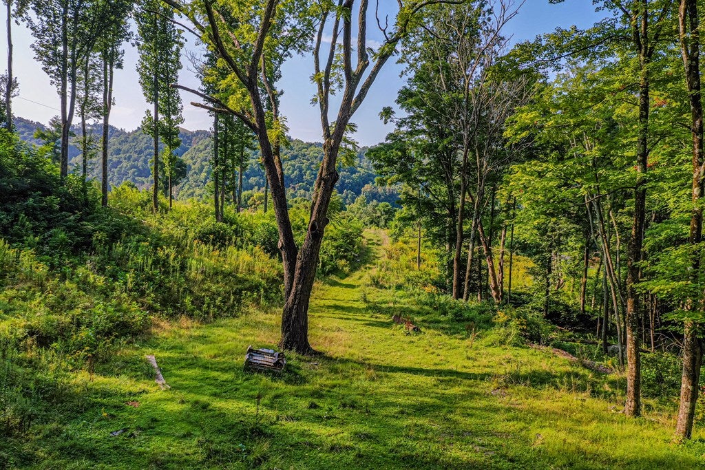 3005 Corn Valley Road Lebanon, VA 24266 - Photo 71 of 73 Gallery Image 71