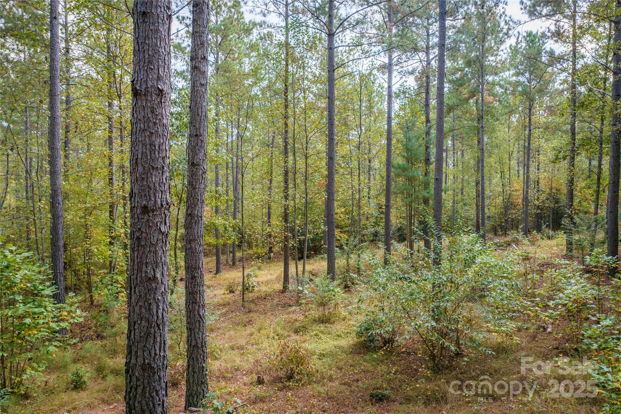 2881 Connelly Springs Road Granite Falls, NC 28630 - Photo 4 of 13 Gallery Image 4