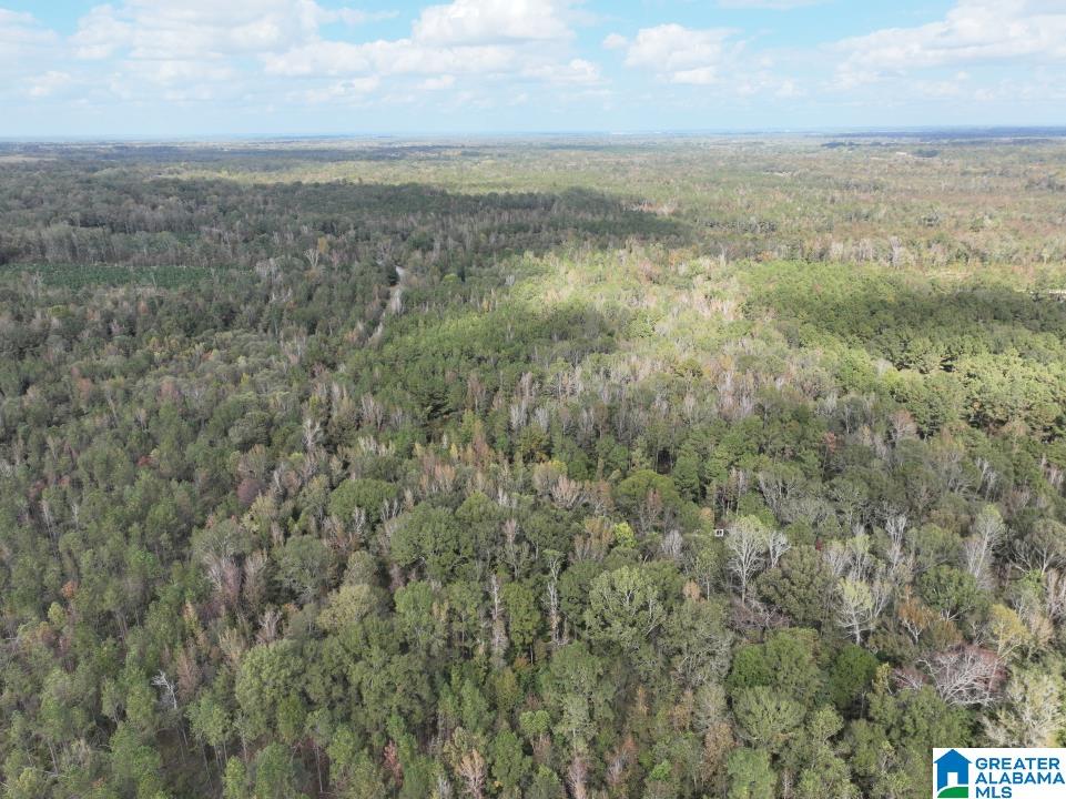 119 Plantation Road, Unit 1 Hope Hull, AL 36043 - Photo 17 of 35