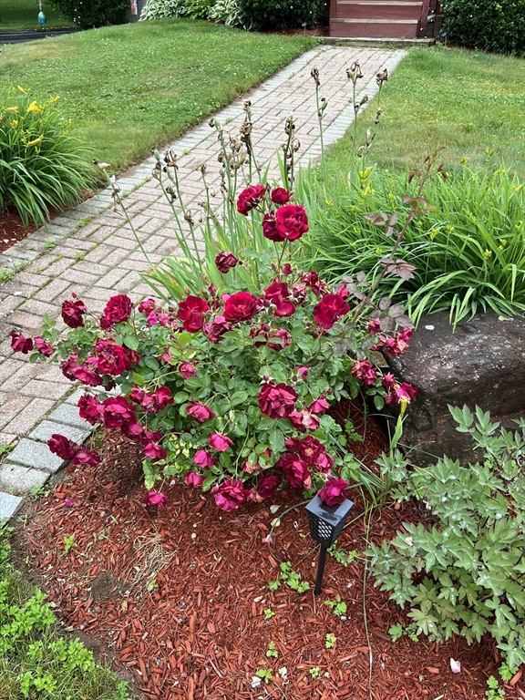 31 Glen Echo Shore Road Charlton, MA 01507 - Photo 35 of 36