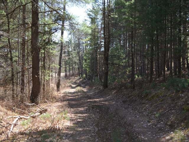 9862 Swamp Lake Road Tomahawk, WI 54487 - Photo 15 of 15 Gallery Image 15