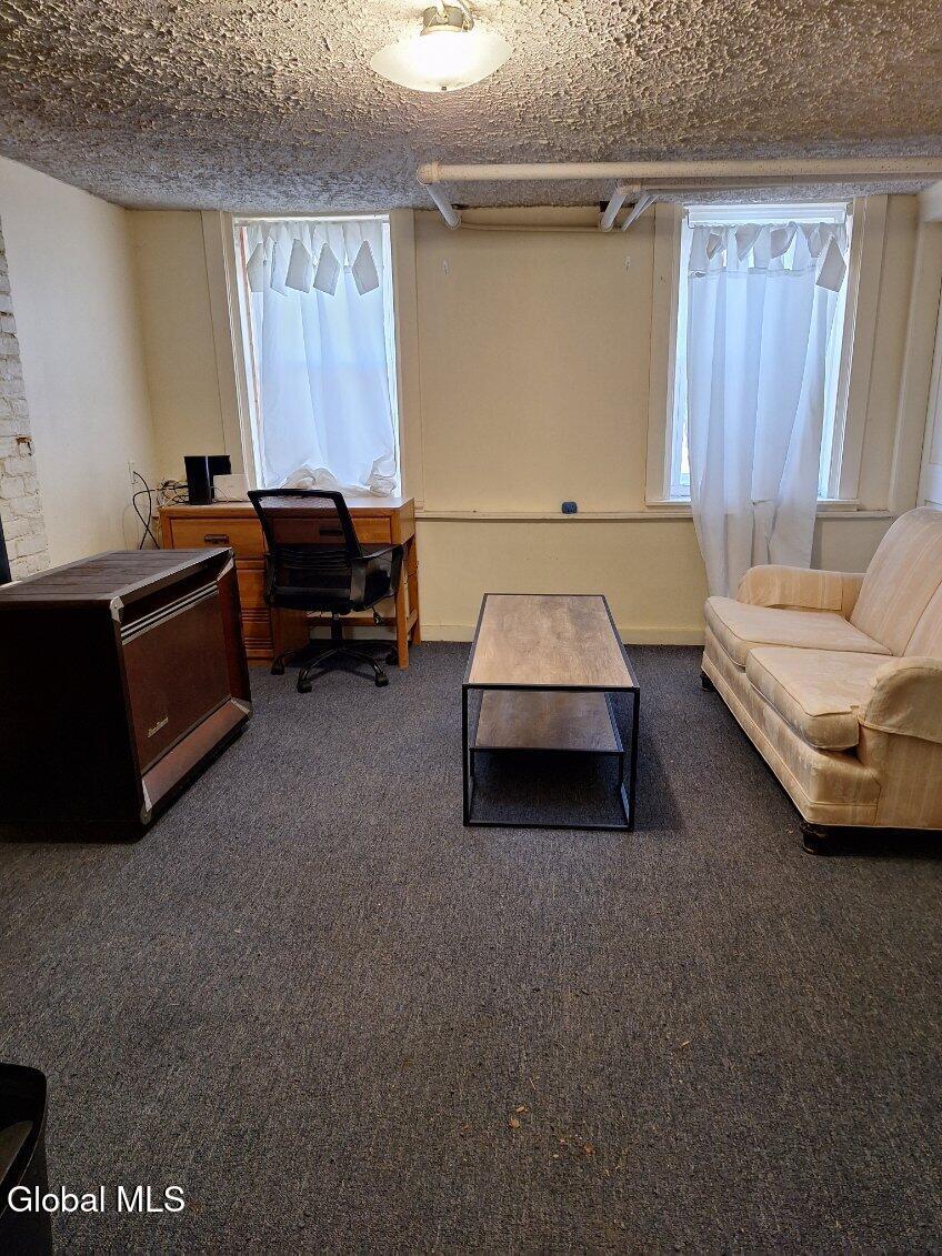 65 13th Street Troy, NY 12180 - Photo 32 of 37 65 13th st basement living room