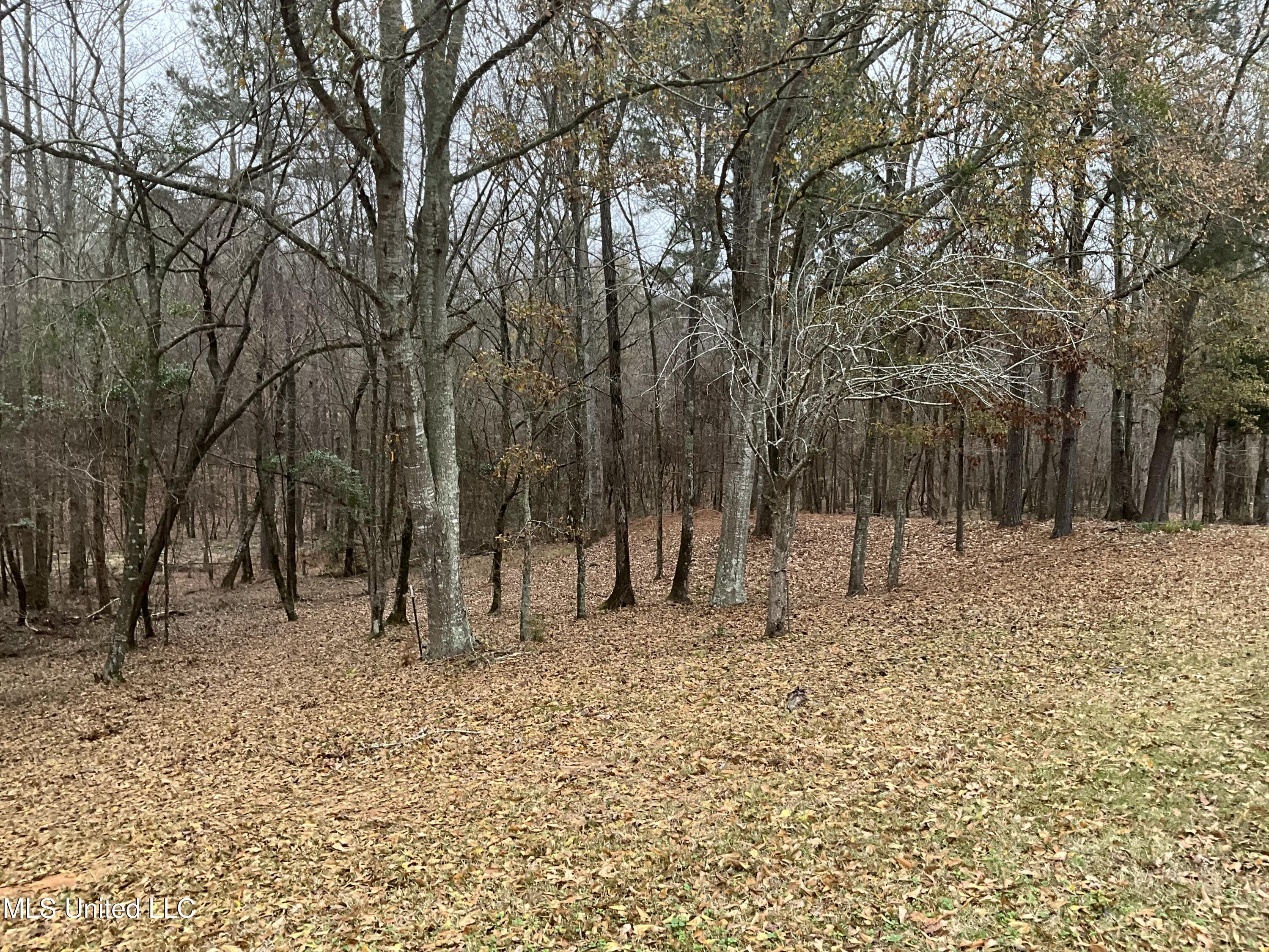 3471 Pleasant Hill Road Lena, MS 39094 - Photo 2 of 78 3471 Pleasant Hill Back