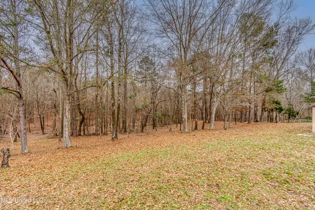 $290,000 | 3471 Pleasant Hill Road, Lena, MS 39094