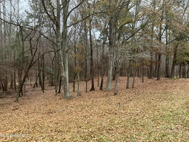 $290,000 | 3471 Pleasant Hill Road, Lena, MS 39094