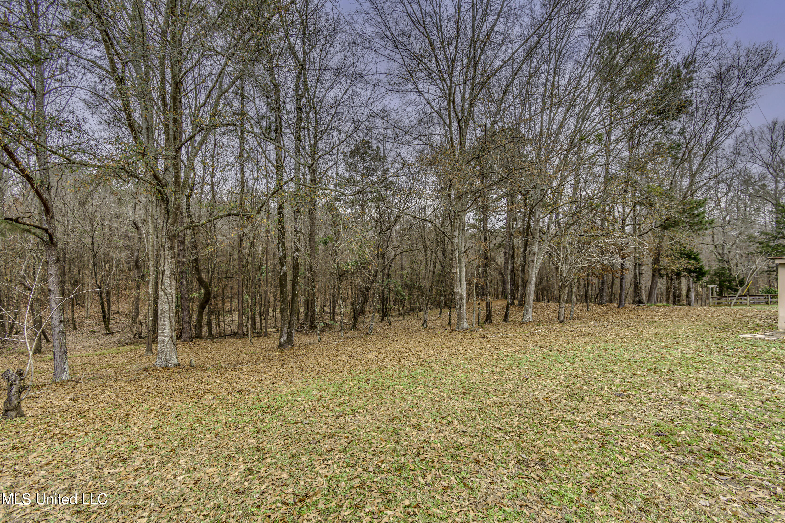 3471 Pleasant Hill Road Lena, MS 39094 - Photo 78 of 78 3471 Plesant Hill Rd --85