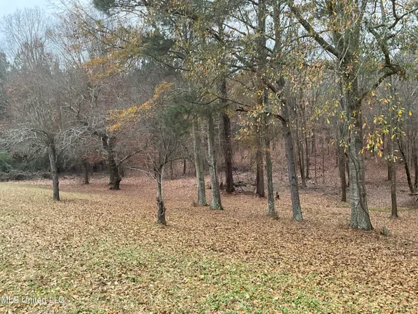 $290,000 | 3471 Pleasant Hill Road, Lena, MS 39094