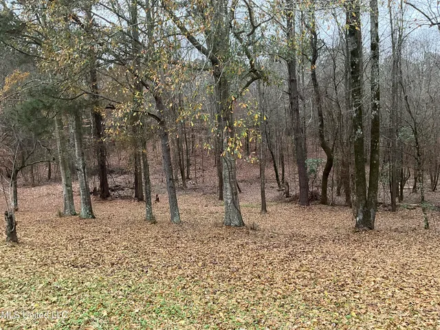 $290,000 | 3471 Pleasant Hill Road, Lena, MS 39094