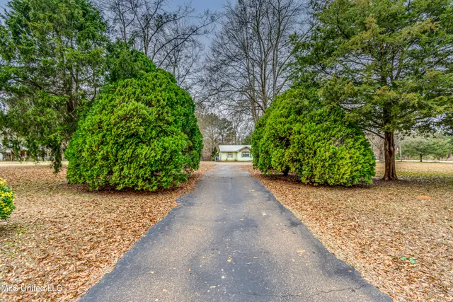 $290,000 | 3471 Pleasant Hill Road, Lena, MS 39094