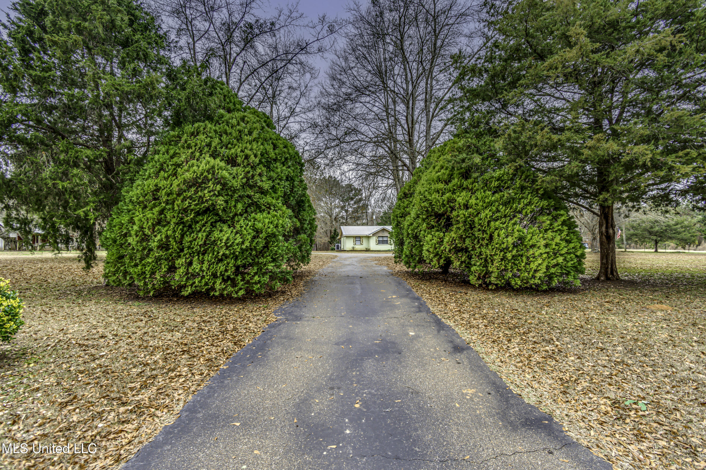 3471 Pleasant Hill Road Lena, MS 39094 - Photo 9 of 78 3471 Plesant Hill Rd -