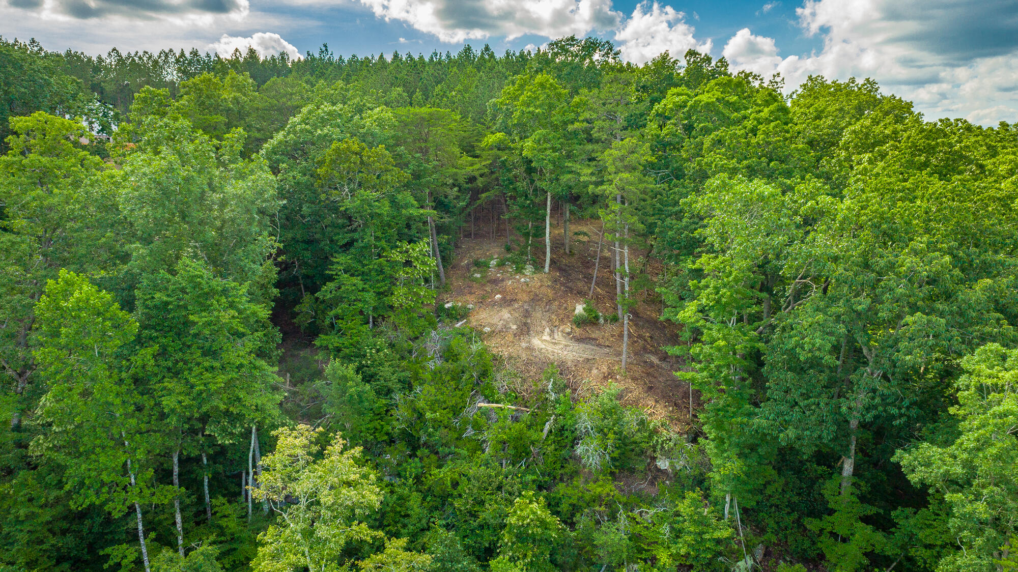0 Back Basin Trail, Unit LOT 1244 Chattanooga, TN 37419 - Photo 80 of 119 MCW Correction HD-6