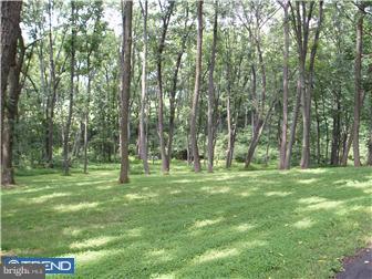 2497 Quakertown Road Pennsburg, PA 18073 - Photo 5 of 12 Exterior Back