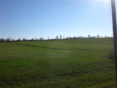0 Gold Ridge Road Billings, MO 65610 - Photo 1 of 1 Primary Photo