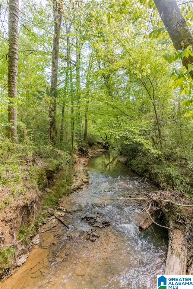 401 Ricetown Road Hayden, AL 35079 - Photo 3 of 50