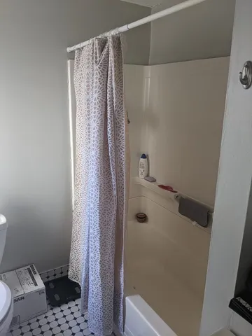 a bathroom with a shower and a toilet