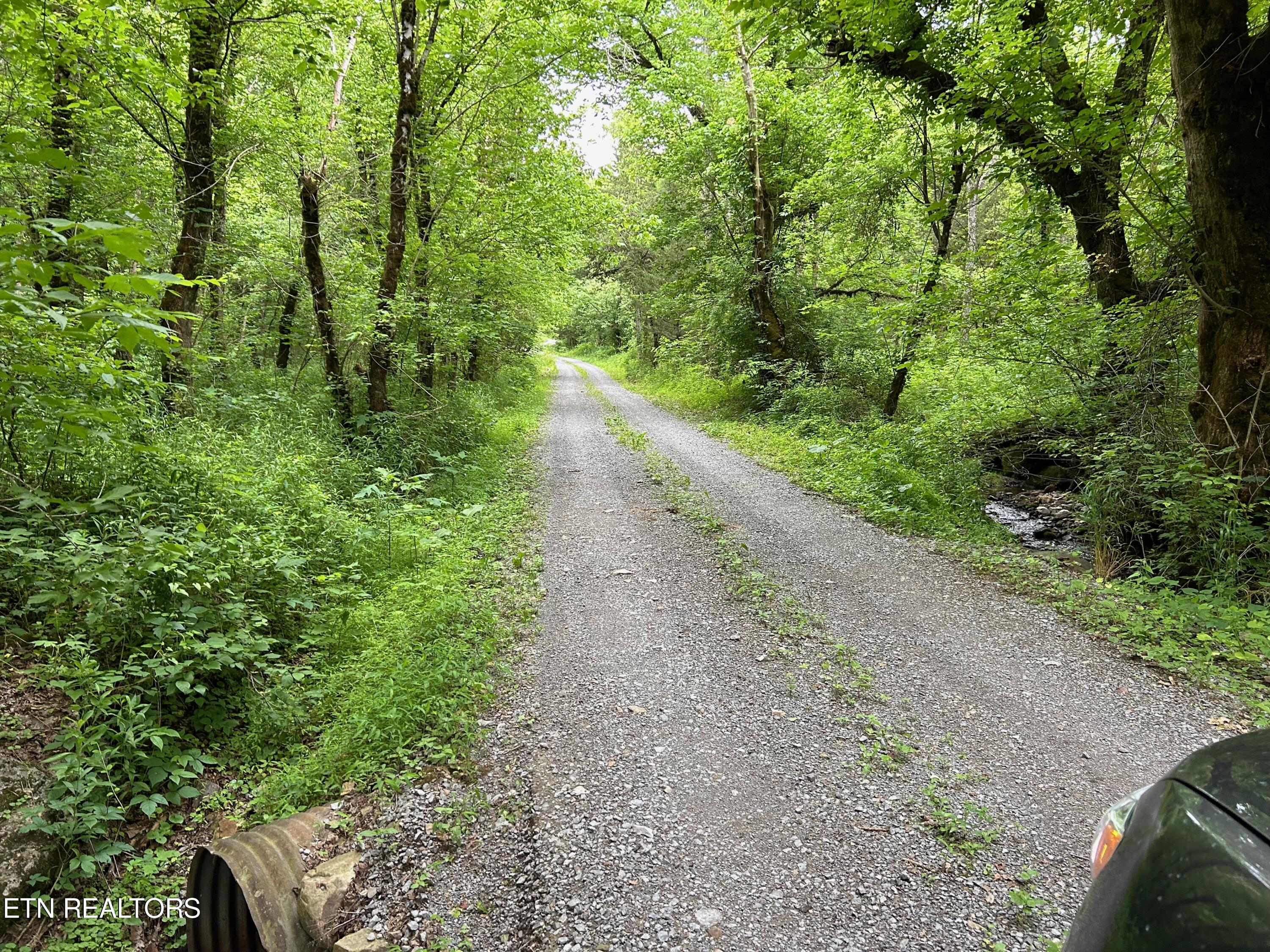 6997 Beech Grove Road Tazewell, TN 37879 - Photo 3 of 19 IMG_2616