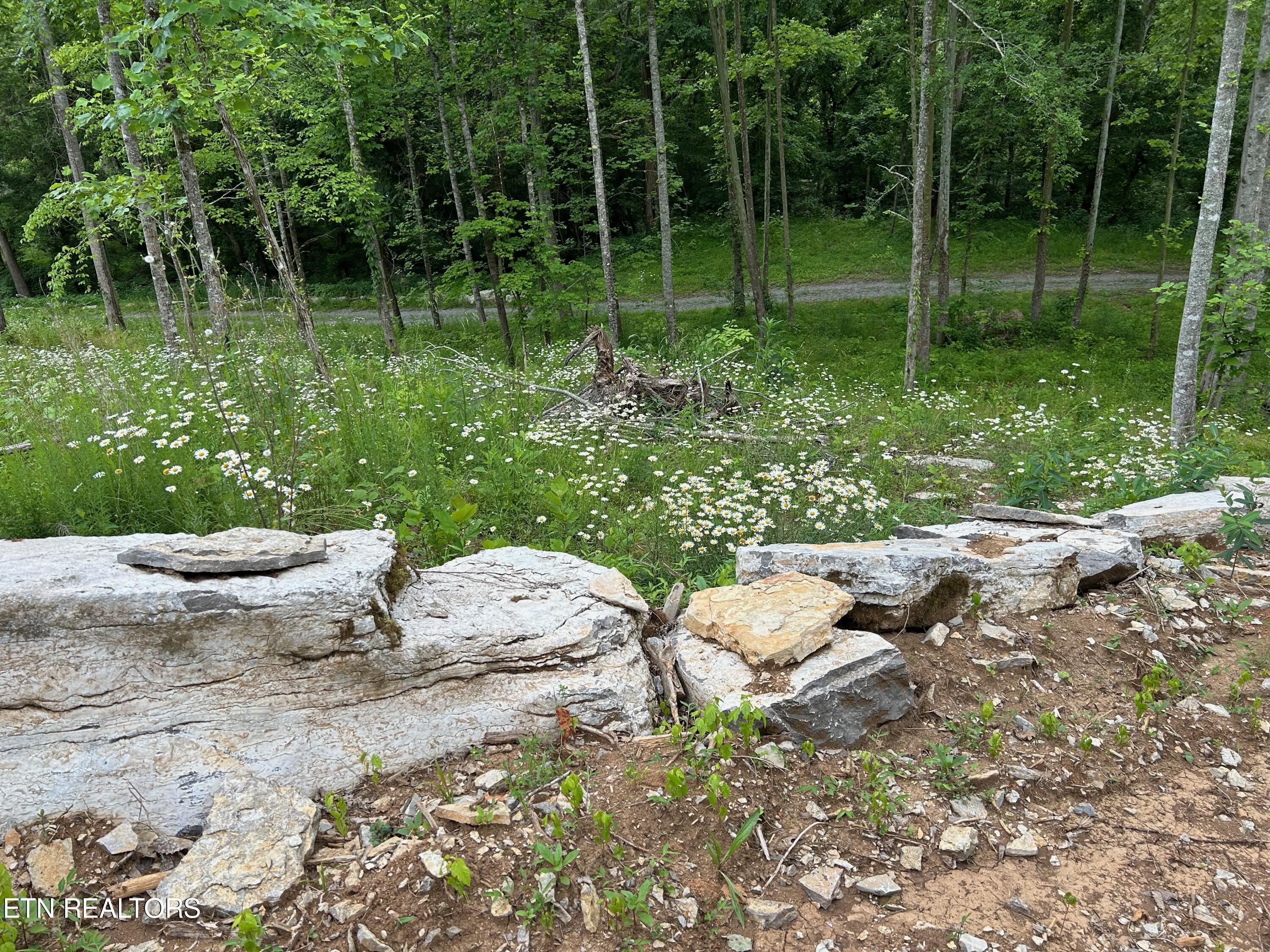 6997 Beech Grove Road Tazewell, TN 37879 - Photo 4 of 19 IMG_2609 (1)