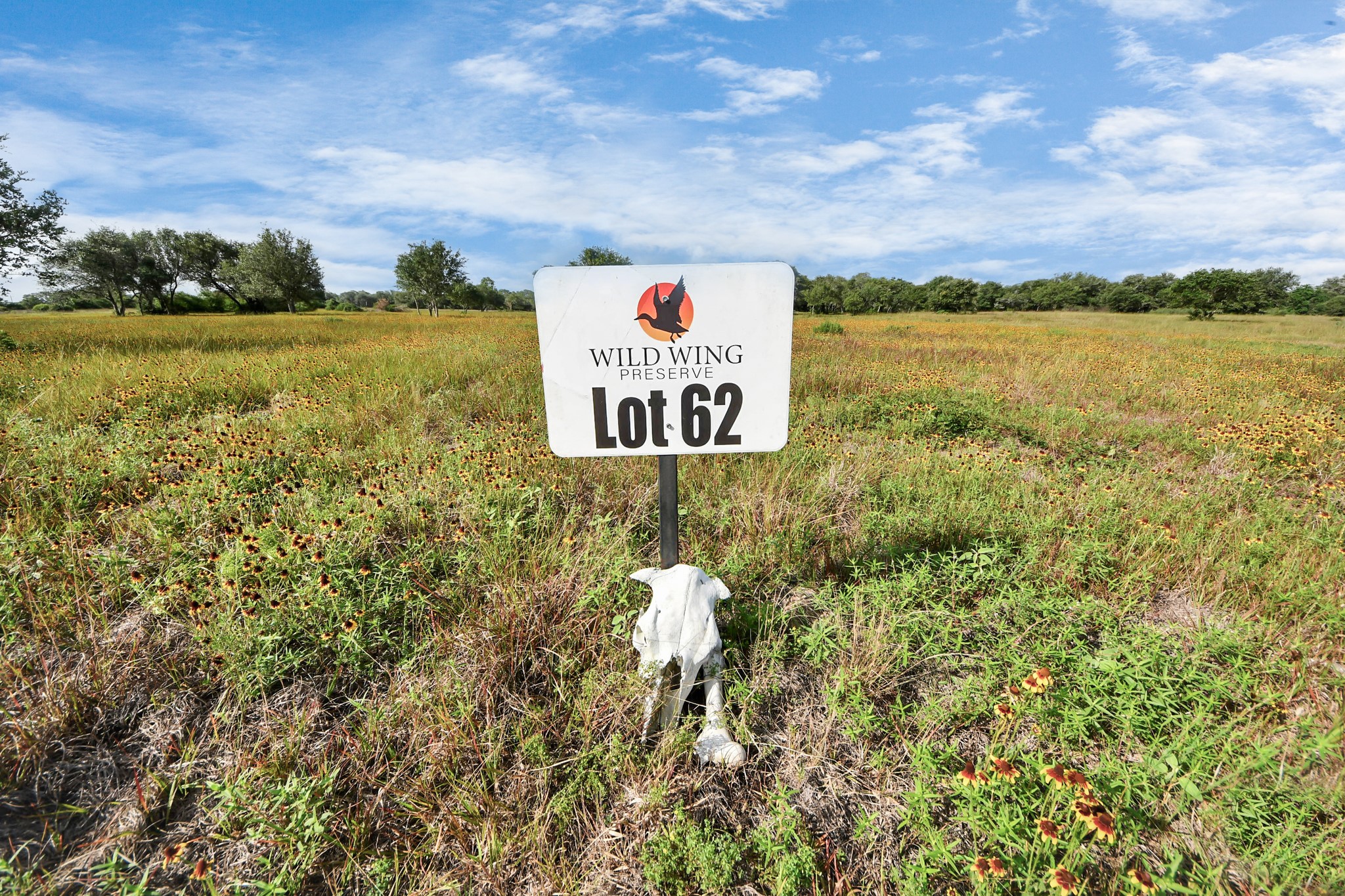 Tbd Tbd Lane Columbus, TX 78934 - Photo 4 of 8