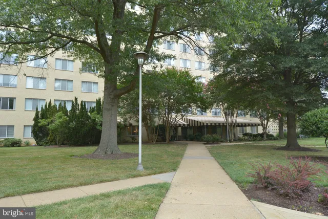 a view of a yard with plants and trees