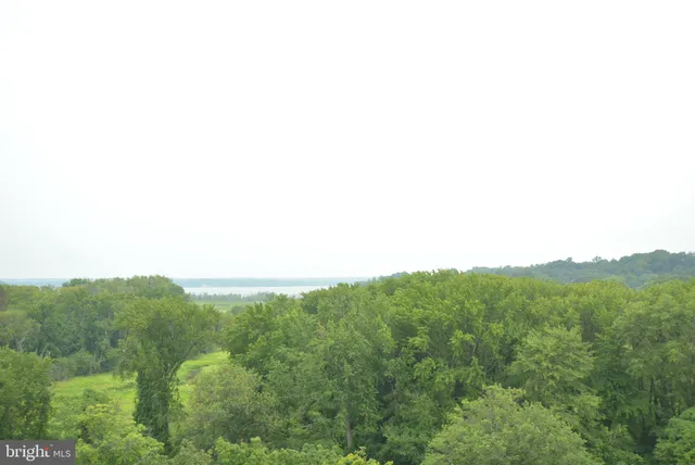 a view of a green field