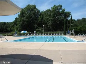a view of park with plants
