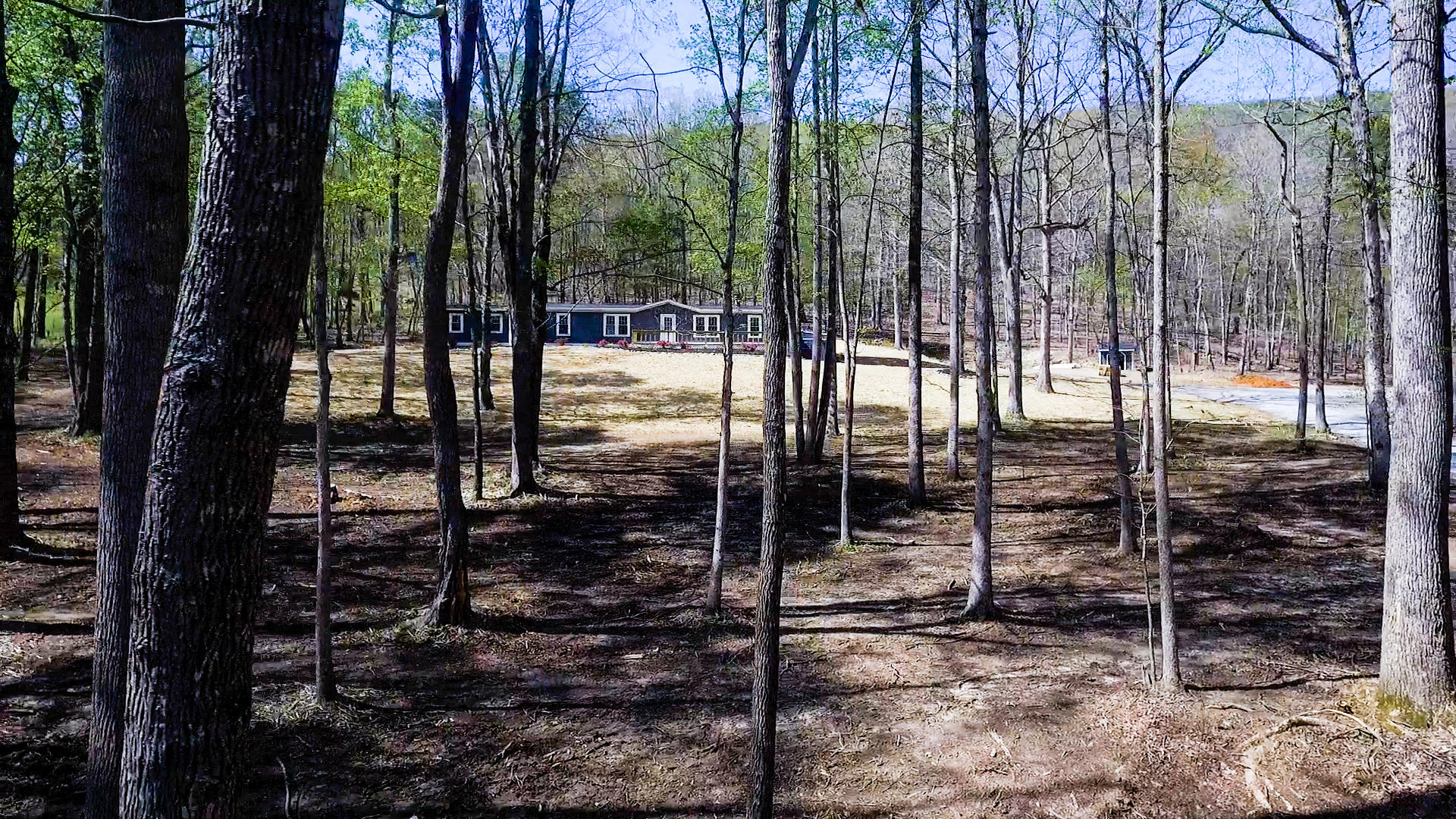 3590 Casey Road Salem, VA 24153 - Photo 4 of 41 GD_D (3)