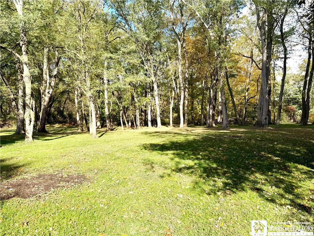 335 Chestnut Street Pomfret, NY 14063 - Photo 12 of 40