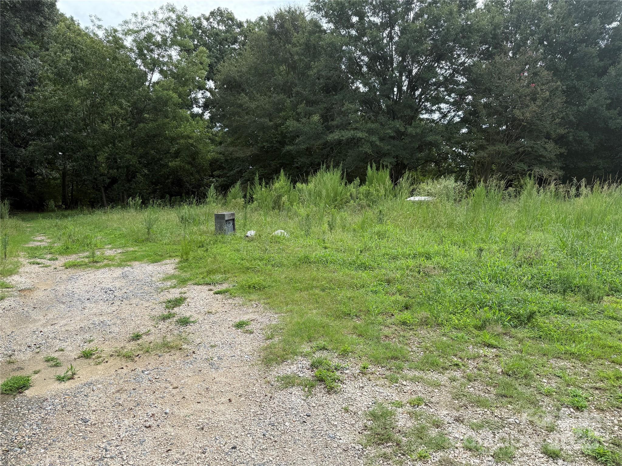 8174 Henry Harris Road, Unit 3 Fort Mill, SC 29707 - Photo 13 of 25 a backyard of a house with trees and plants