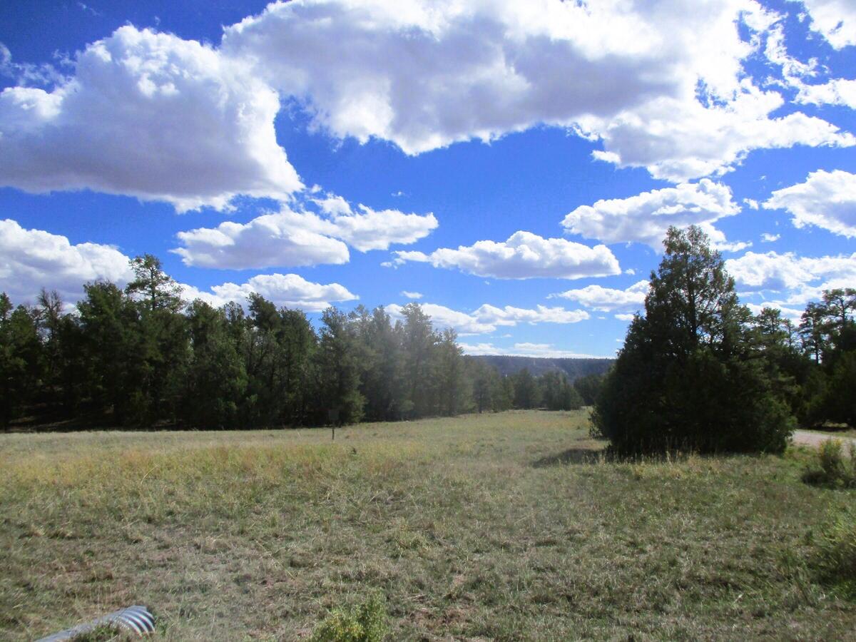 Lot 5 Copperweed Road Ramah, NM 87321 - Photo 18 of 88 Gallery Image 18