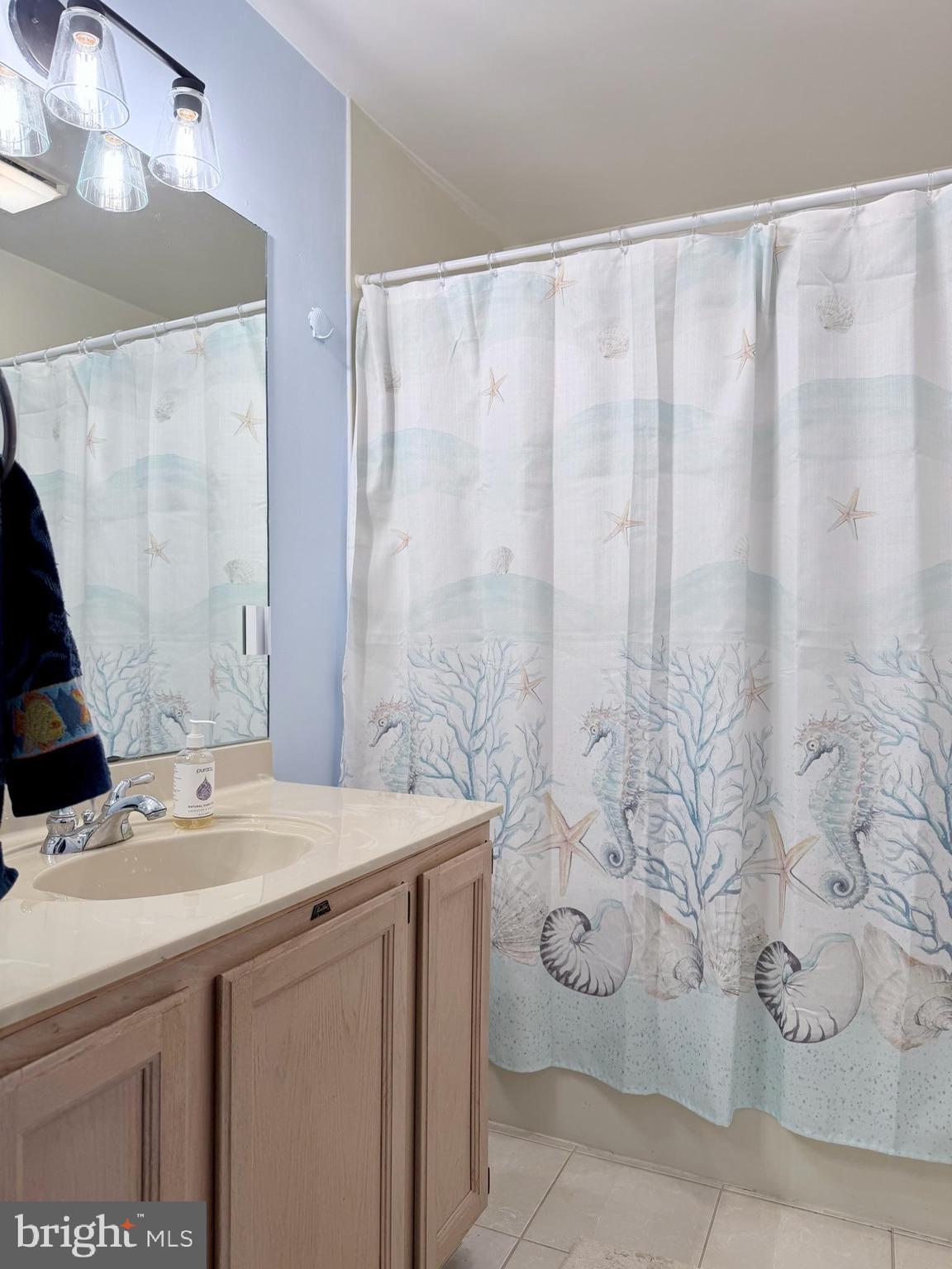 4 Fantail Court Ocean Pines, MD 21811 - Photo 26 of 33 Bath with shower