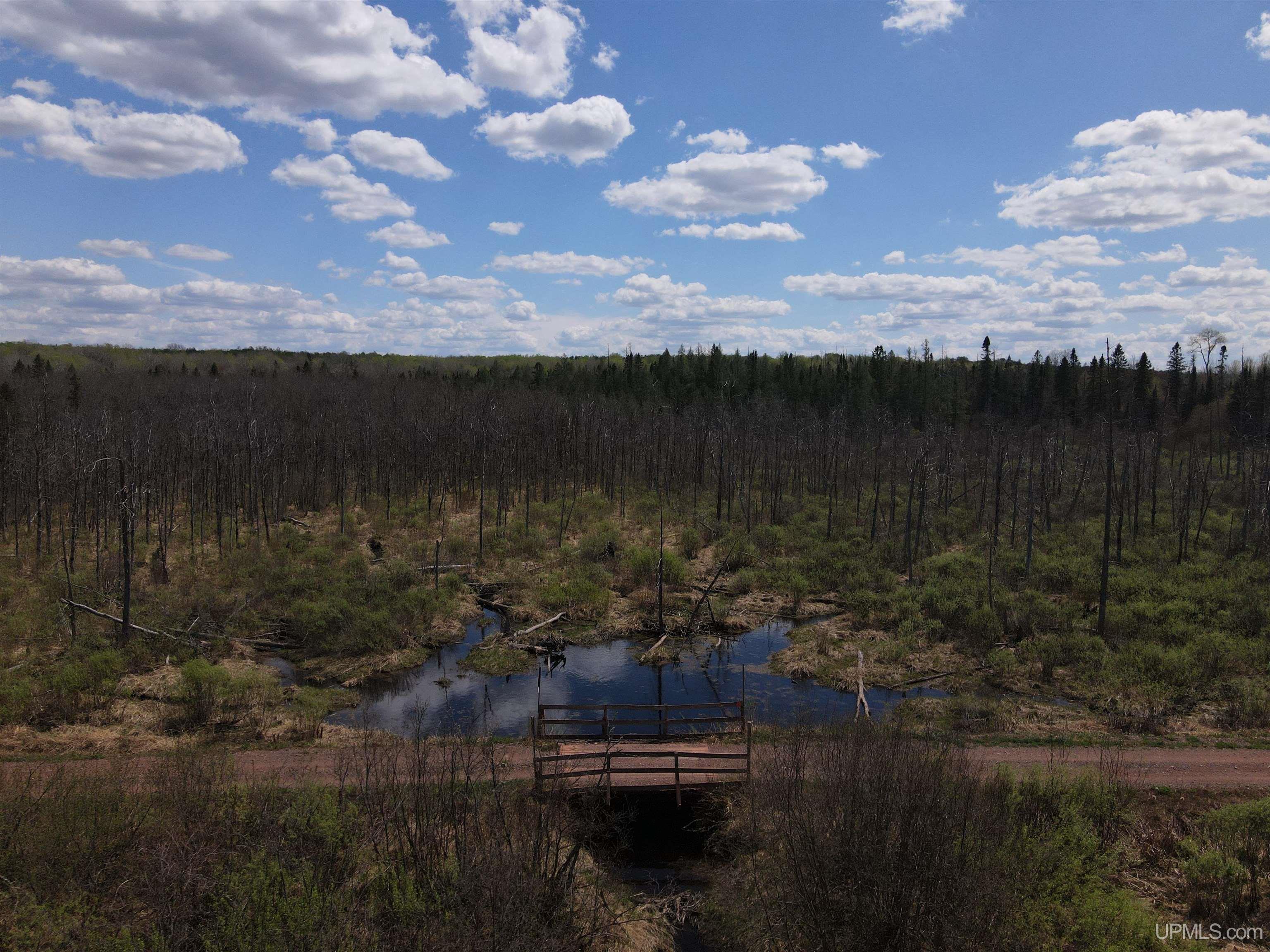 On Dunham Road Marenisco, MI 49947 - Photo 27 of 47