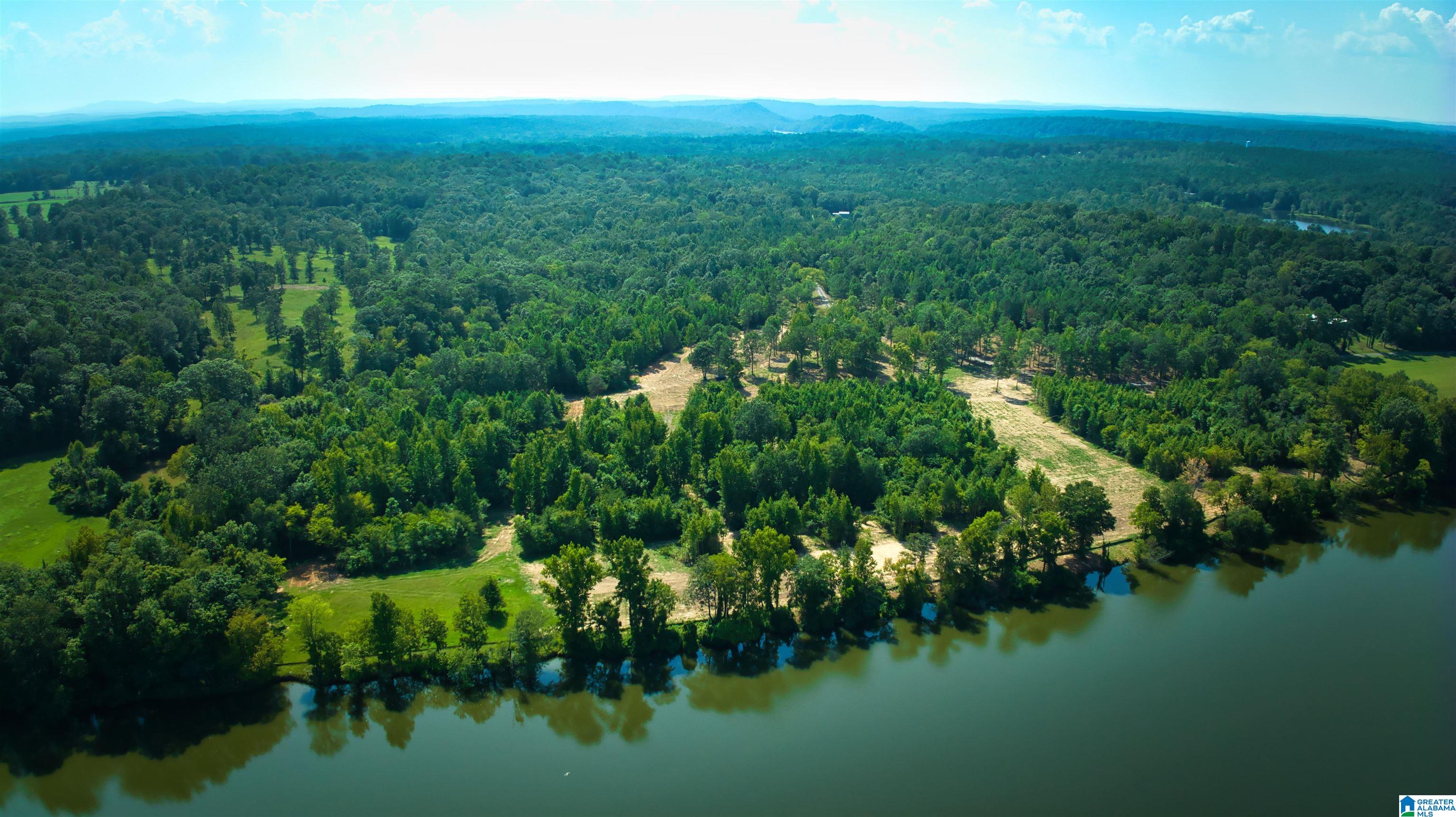 Lot 20 Wester Road, Unit LOT 20 Ragland, AL 35131 - Photo 21 of 68