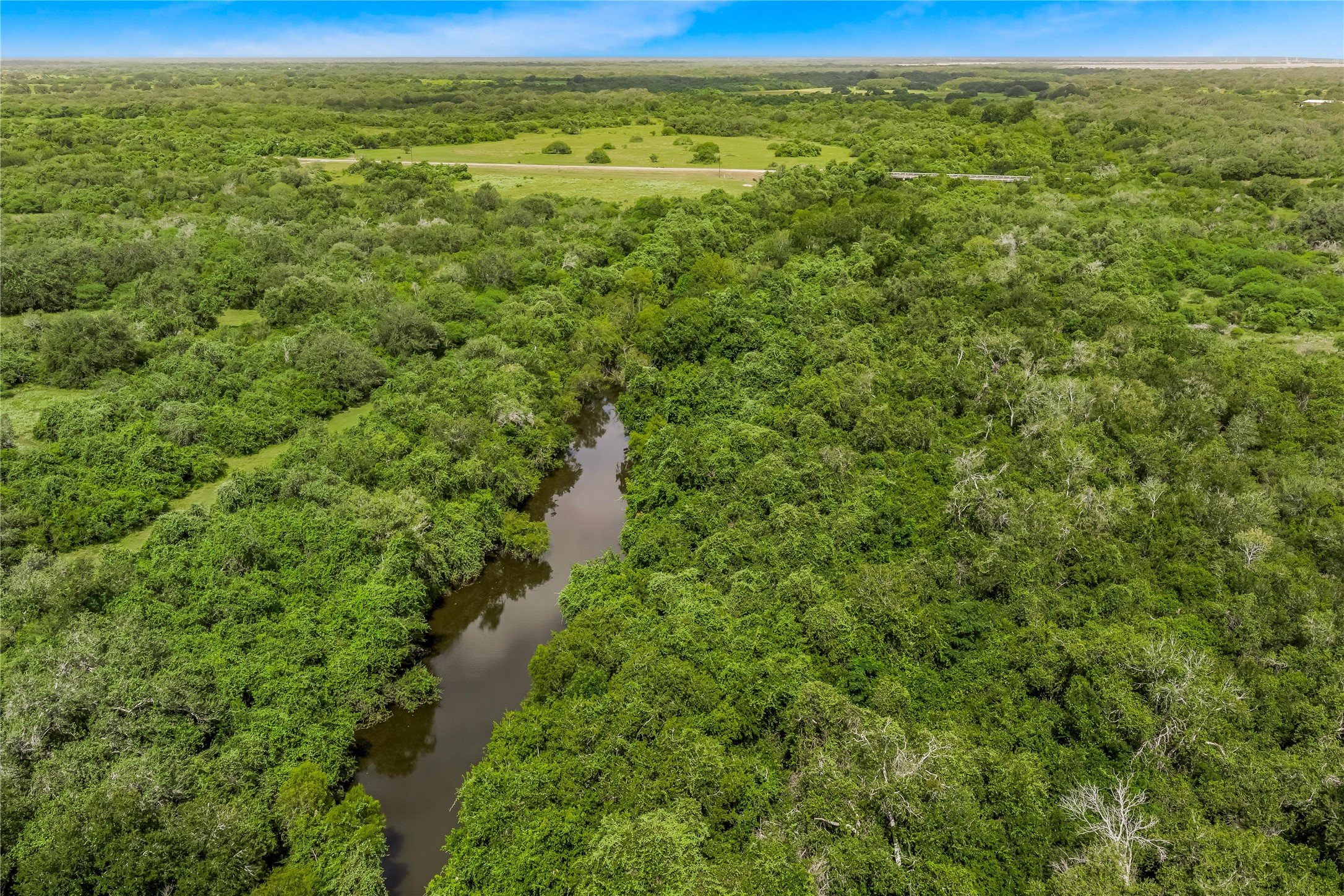 0 McGuill Road Goliad, TX 77963 - Photo 3 of 21 Gallery Image 3