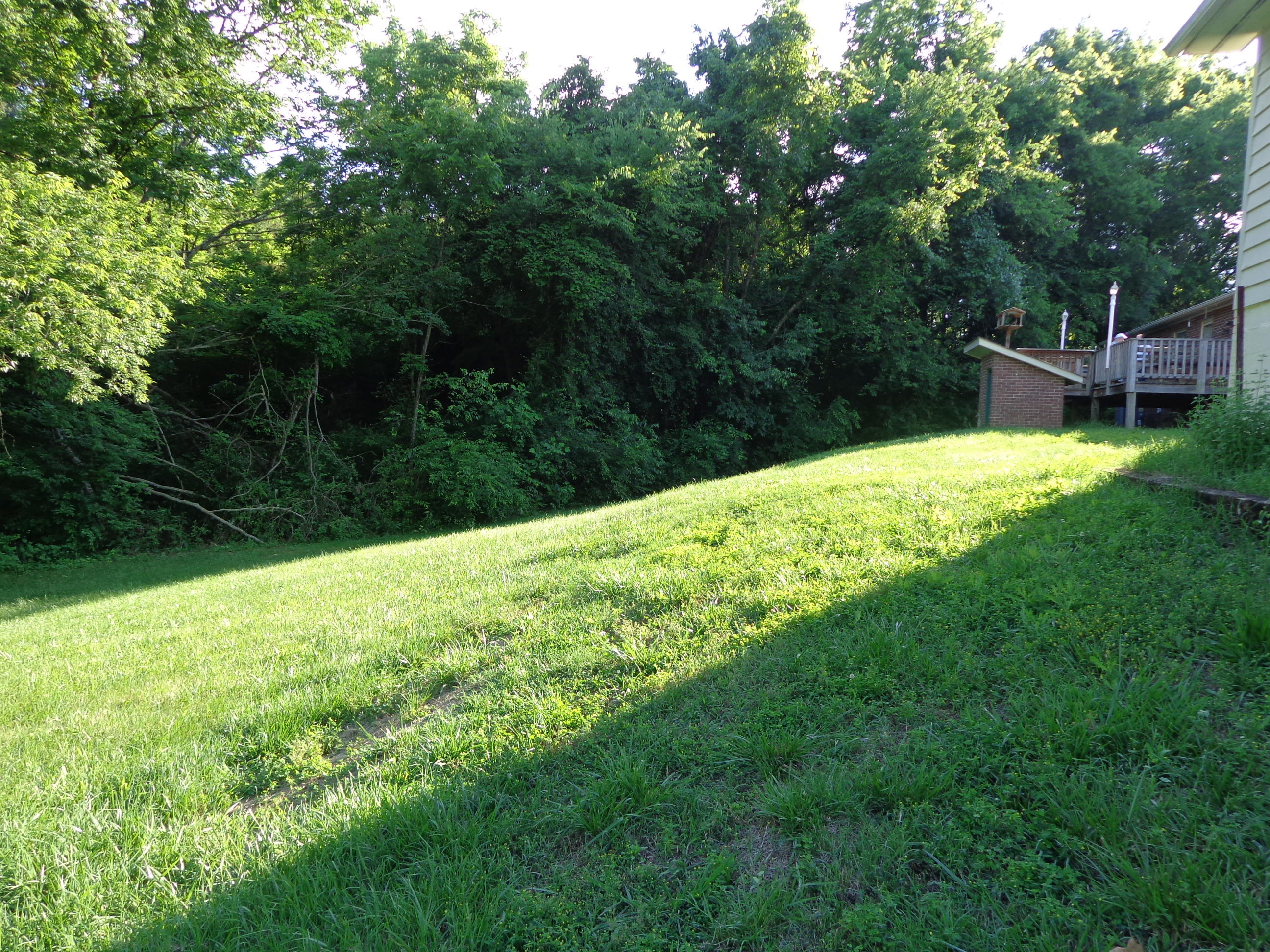 3110 Springvale Road Morristown, TN 37813 - Photo 22 of 24 springvale (26)