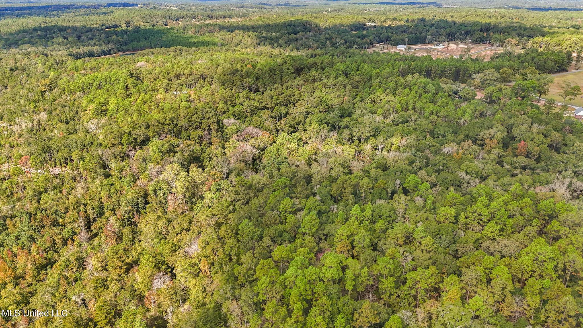 35-acres Richard Reeves Road Lucedale, MS 39452 - Photo 11 of 21 010