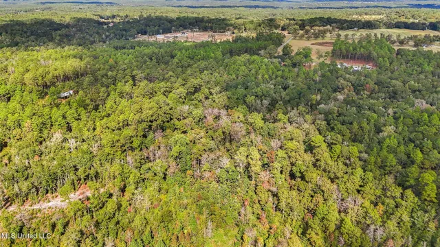 $215,000 | 35-acres Richard Reeves Road, Lucedale, MS 39452