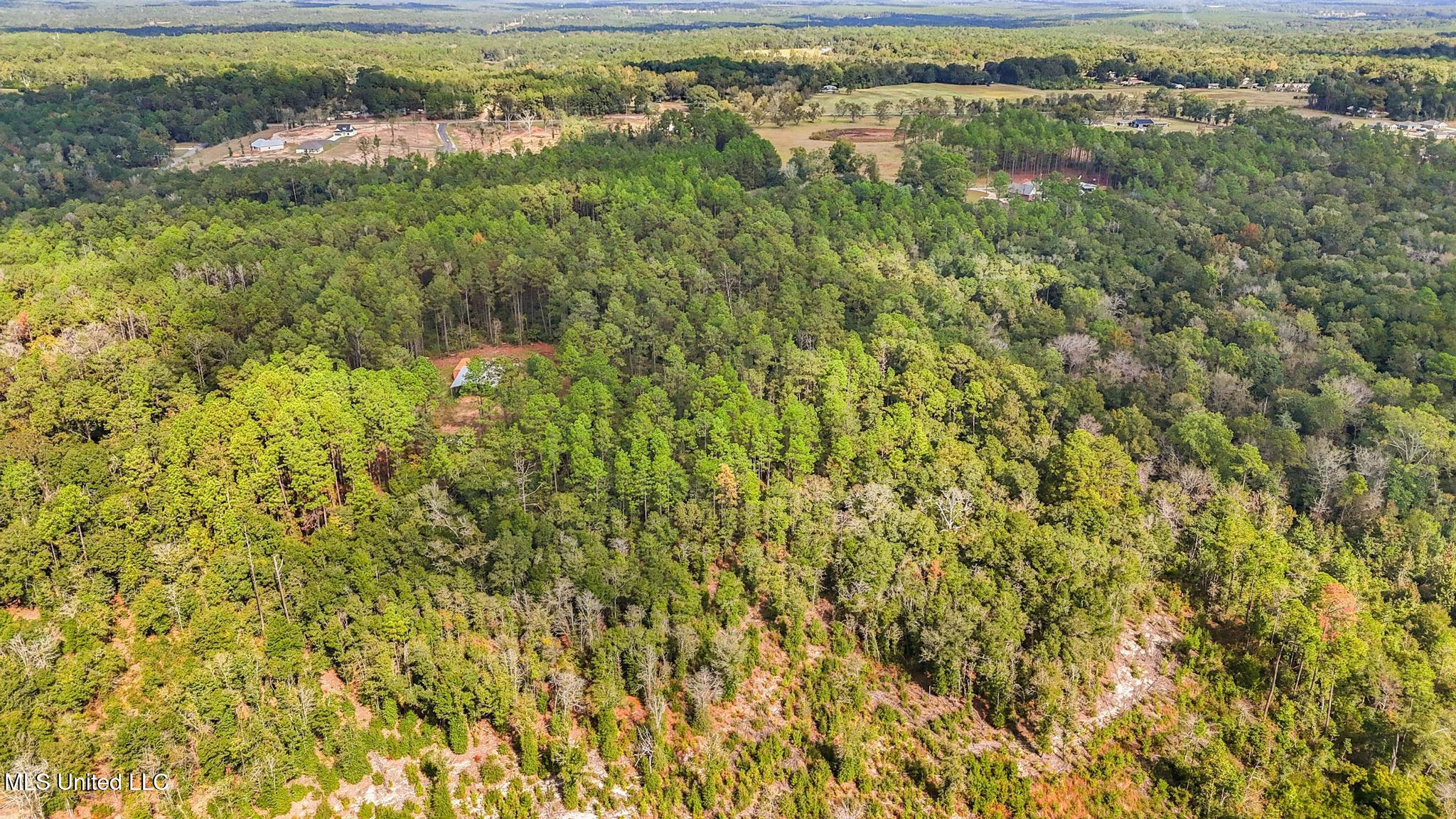 35-acres Richard Reeves Road Lucedale, MS 39452 - Photo 13 of 21 012
